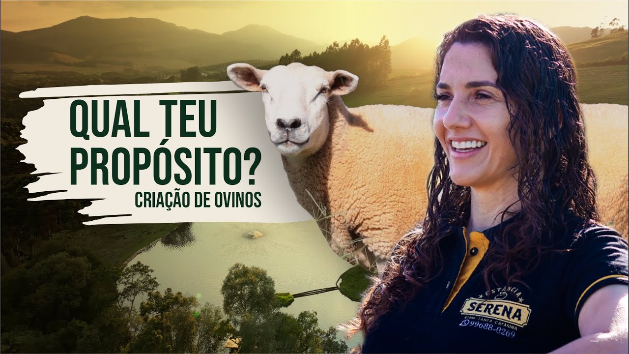 Vou abrir minha propriedade para você. Criação de Ovinos por Simone Galafassi