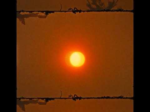 Camille Camille - Golden (Official Video)