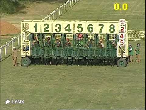 The Falaknuma Plate winner MR STUNNING