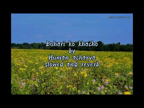 Buhari ko khacho by human aacharya (slowed and reverb) with lyrics