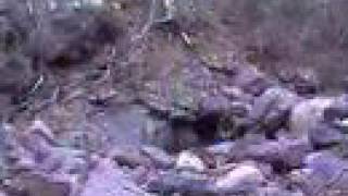 Explosions in the Sky - Have You Passed Through This Night?