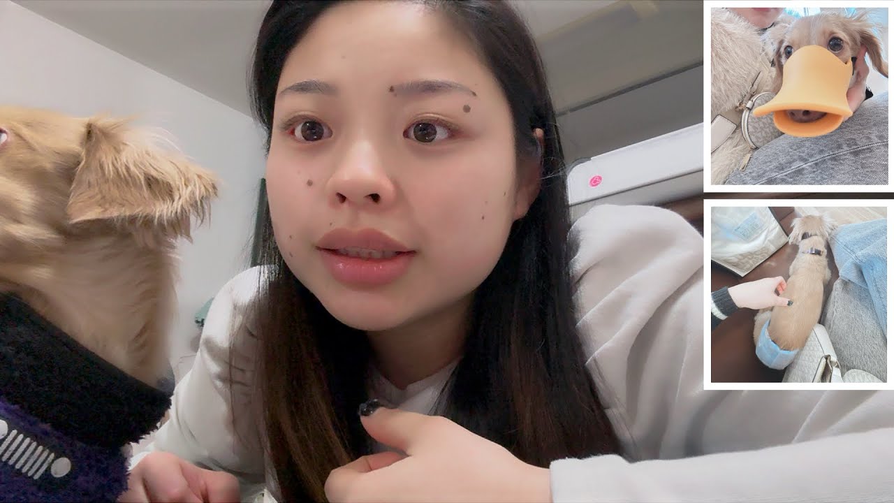 Anong nangyari kay Spencer?