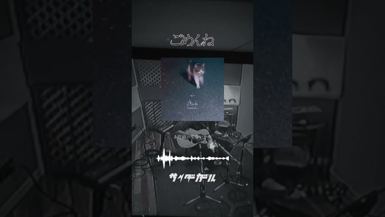 Digital Sg「ごめんね」Released!! #サイダーガール #サイダガ #新曲 #邦ロック #オリジナル曲 #shorts