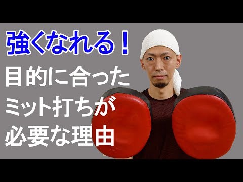 ボクシングのミットの受け方・持ち方・タイミングの合わせ方　説明動画　tomitt とみっと