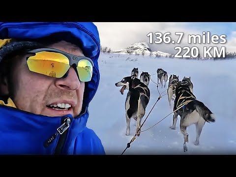 220 km Across Lapland's Snow-Covered Mountains by Dog Sled