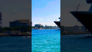 Disney Dream 🛳️#like #share #comment #subscribe #cruiseship #cruise #vacation #shorts #short #video