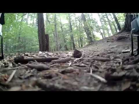 MongoTV_592 - Part 3 - Mongo Drones - Frederiksdal Stor Skov - Huiying X6058 - Spycam 808 #16 V3