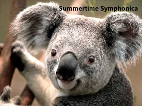 Nicky Romero Vs Lana Del Rey - Summertime Symphonica (Will Bates Mashup)