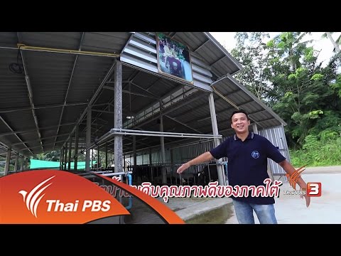 ยาพื้นบ้านโป๊ ซื้อเชื้อโรคหญิงในอัสตานา