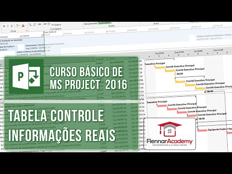 Lesson 2-3 Ms Project 2016 Course - Updating the project with real dates (control table)