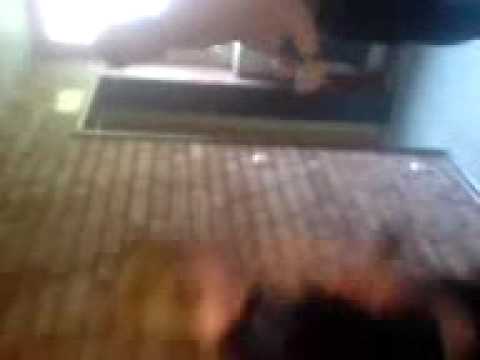 self-g Presentier boxerei  von 2 ottos