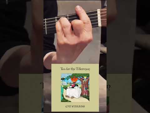 Hard headed - woman - Cat Stevens