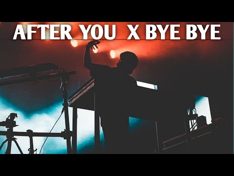 Gryffin - After You X  Bye Bye | SELENG Mix | Gryffin After You | Gryffin Bye Bye | SELENG |