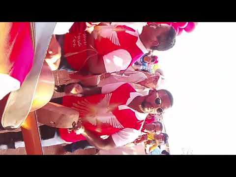 Romaria da Sucupira. Tradição do Tocantins.