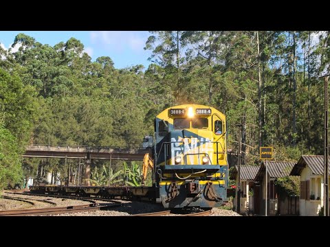 In search of the rarest train horn on the MRS railway, did I find it??? FIND OUT, 8 trains passin...