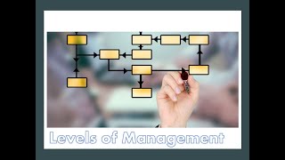 (HR)Management Basics - Levels of Management