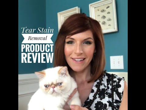Tear Stain Solutions For Cats - Review / Opinion