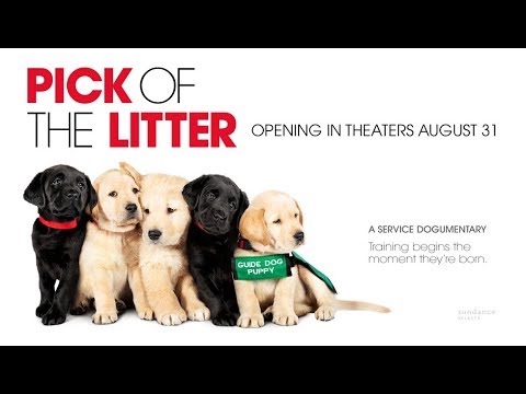 Pick of the Litter (2018) Official Trailer