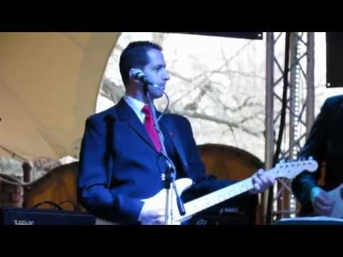 The Shades - Blue Suede Shoes live Sörsátor