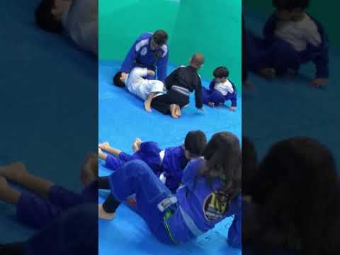 Jiu-jitsu 08.07.2019(5)