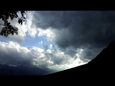 Stimming - Symphorine