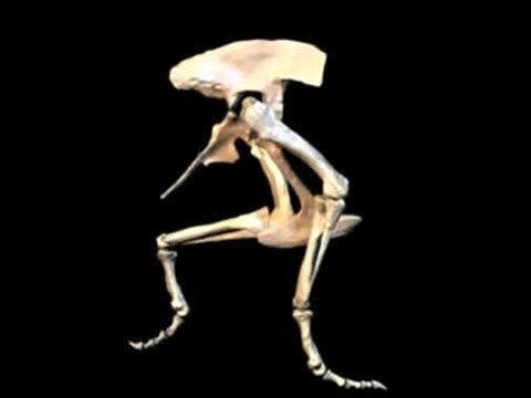 download lagu mp3 mp4 Elephants Can Jump, download lagu Elephants Can Jump gratis, unduh video klip Download Elephants Can Jump Mp3 dan Mp4 Full Gratis