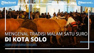 Mengenal Sejarah hingga Tradisi Malam Satu Suro di Solo, Akan Digelar Kirab Kebo Bule Kyai Slamet
