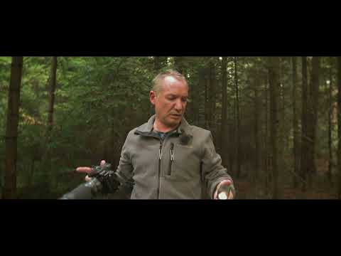 Pilze Fotografieren im Herbst (Kloster Hirsau Teil 2)