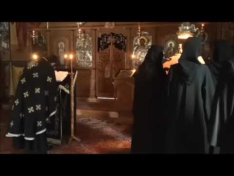 20190314 NICOLAE BALASOIU – POSTUL SFINTELOR PASTI ZIUA 4 JOI