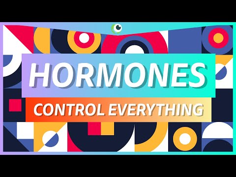 ホルモンはあなたを制御する - ホルモンと内分泌系 - 美しい科学 (HORMONES CONTROL YOU - Hormones and the endocrine system - Beautiful Science)