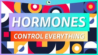 HORMONES CONTROL YOU - Hormones and the endocrine system - Beautiful Science