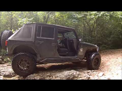 mall crawler run 2019