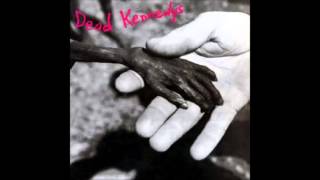 Dead Kennedys - Forest Fire