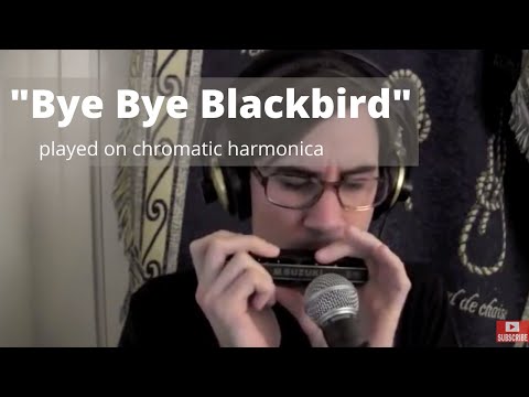 Bye Bye Blackbird - Jazz Chromatic Harmonica Suzuki G48W