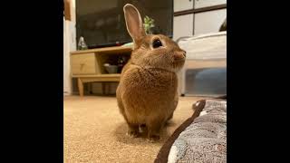 EARTHで