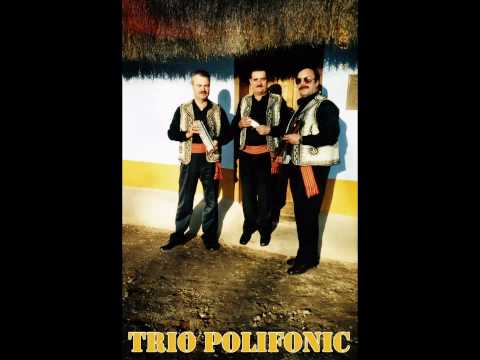 Trio Polifonic - La casa cu trestioara