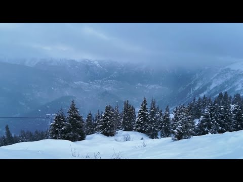 Prod Nemésio Skillz