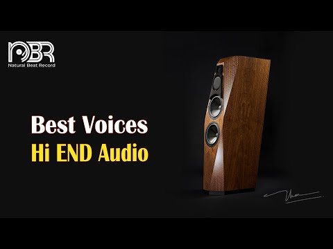 High-Fidelity Voices: Mastering Audiophile Setups with Hi-Res Audio