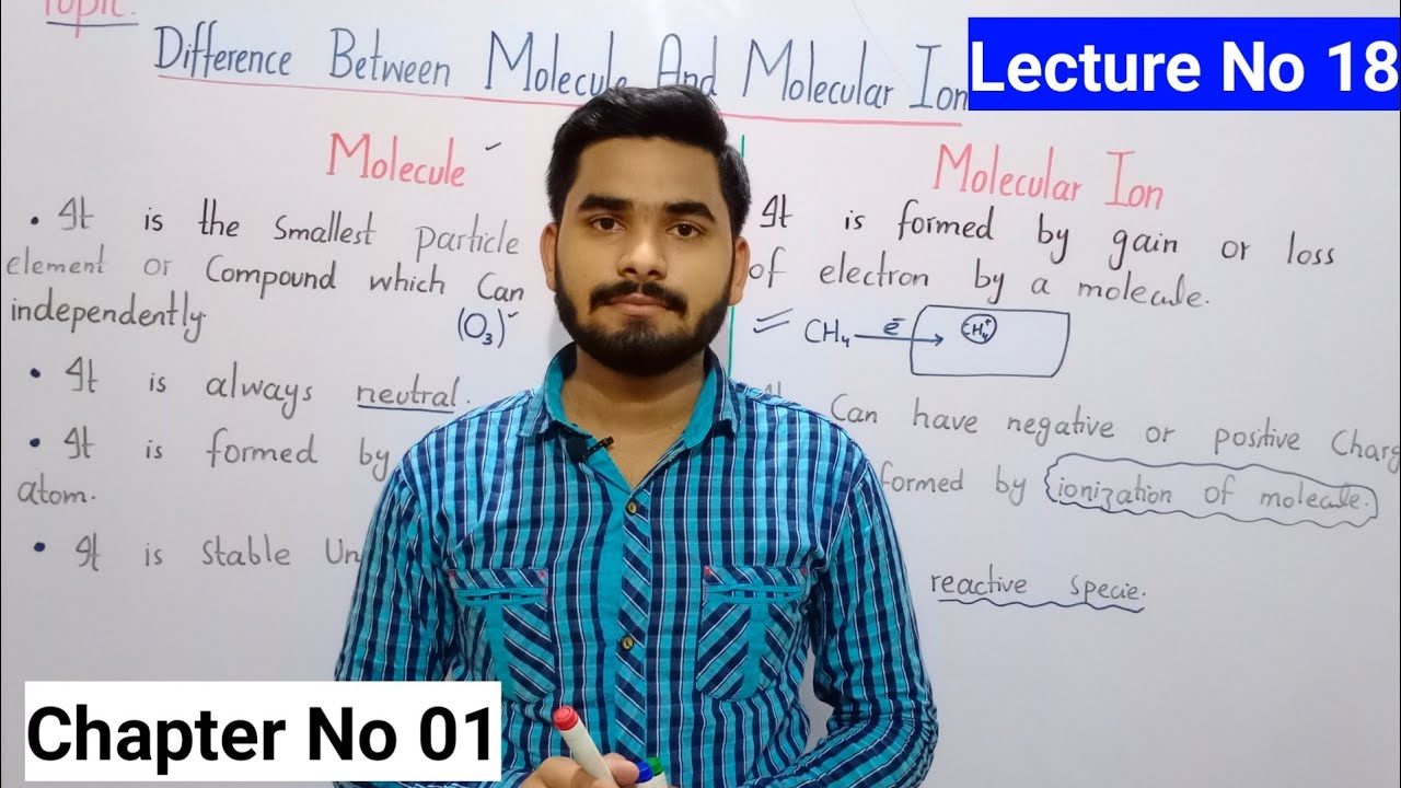 Difference Between Molecule And Molecular