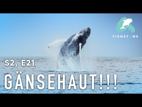 S2E21 - Mächtige Begegnungen - FISHSTONE's Angelwelten