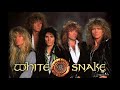 Whitesnake - Now You're Gone