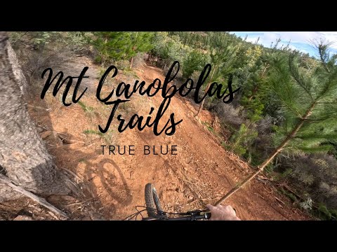 True Blue - Orange Mountain Bike Club