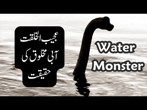 Water Monster Bessie in real life