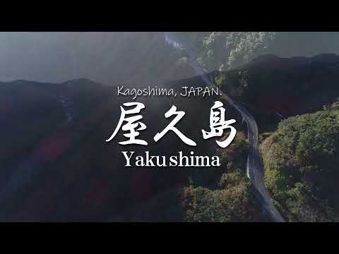 Yakushima Island, Kagoshima Japan 屋久島(5min)