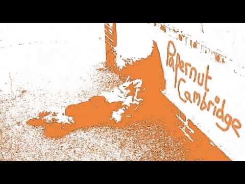 03 Papernut Cambridge - What Ruthy Said [Gare du Nord Records]