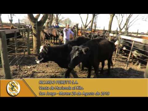 28-08-18 Venta de Hacienda al Kilo - Ricardo Peiretti S.A. - San Jorge.