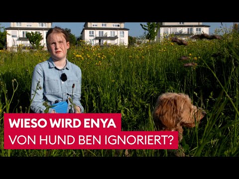Familienhund wendet Tochter den Rücken zu | Der Hundeprofi