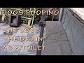 Dog Pooping She Uses The Drain To Pee In Like A Toilet