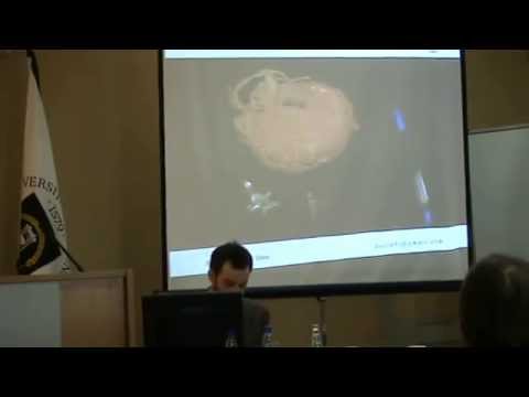 Yann Borjon-Privé "Does any bird fly in the Dolgan world?"