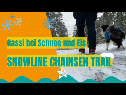 Wandern 🥾 mit dem Hund 🐩: Auch im Winter sicher unterwegs mit den Snowline Chainsen Trail